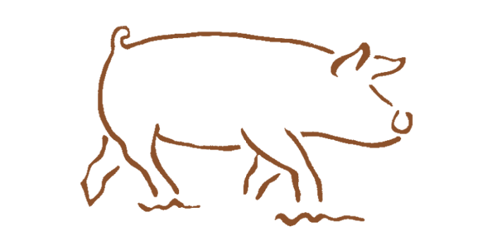 startseite-schwein-icon